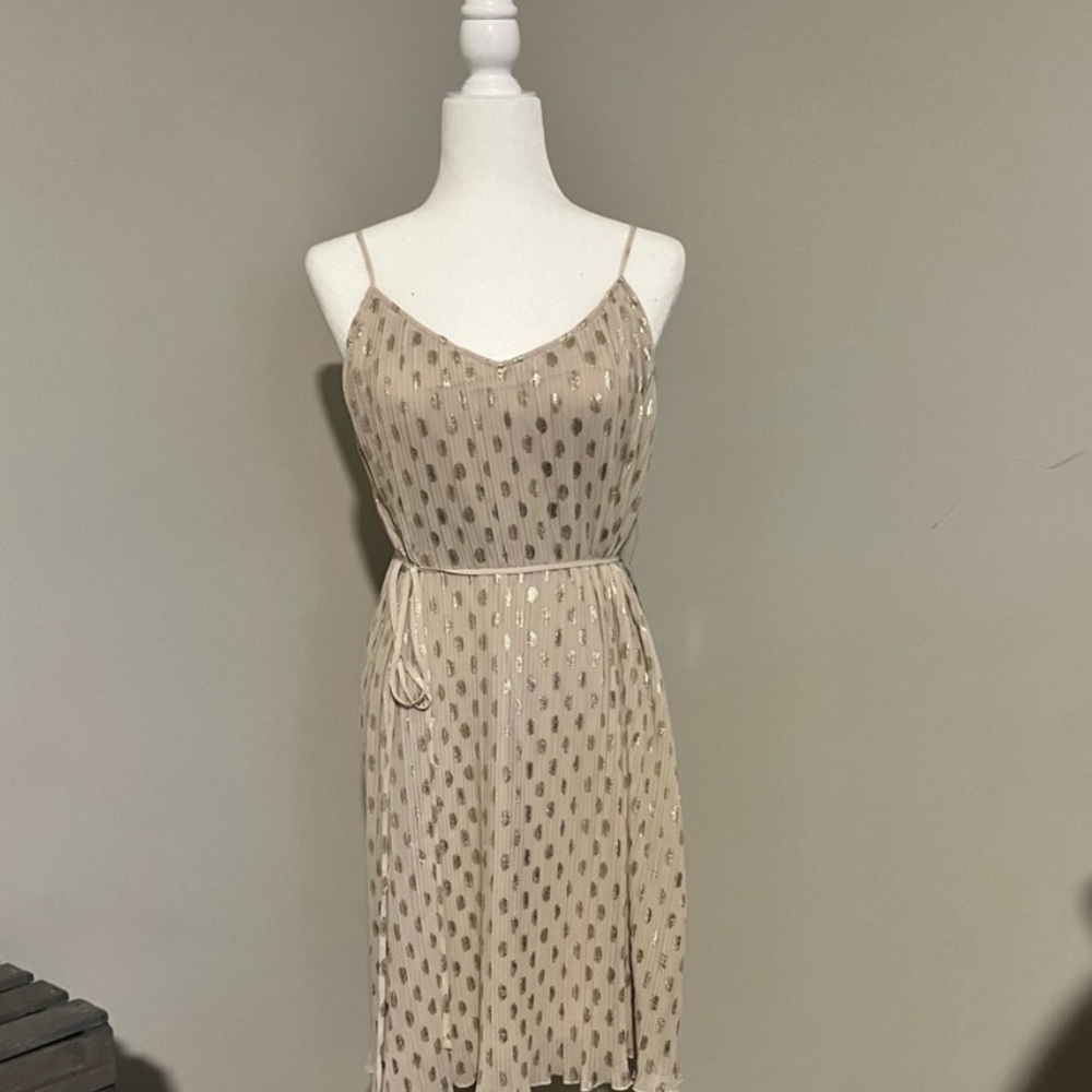 Express dress